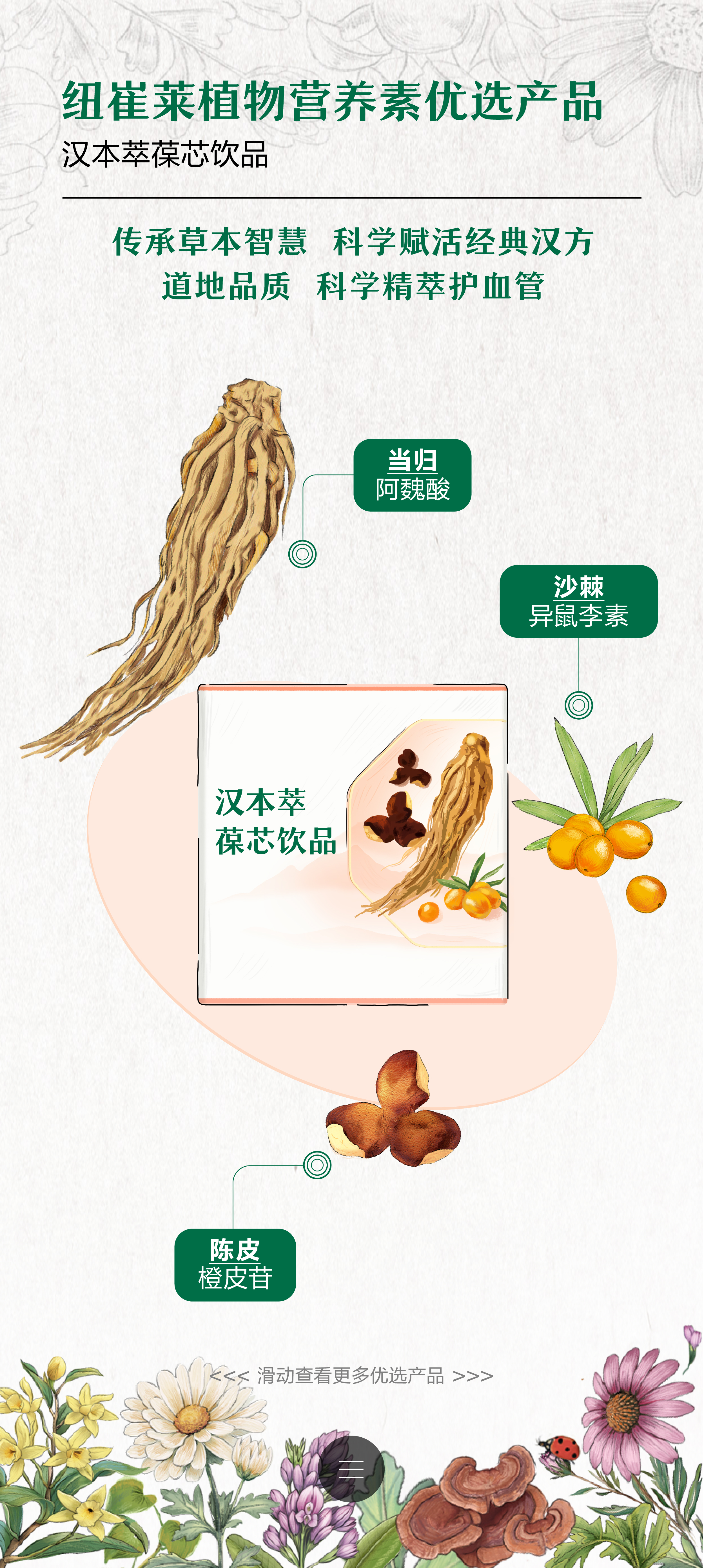 纽崔莱植物营养素优选产品
 汉本萃葆芯饮品
 传承草本智慧 科学赋活经典汉方
 道地品质 科学精萃护血管
 当归 阿魏酸
 沙棘 异鼠李素
 陈皮 橙皮苷