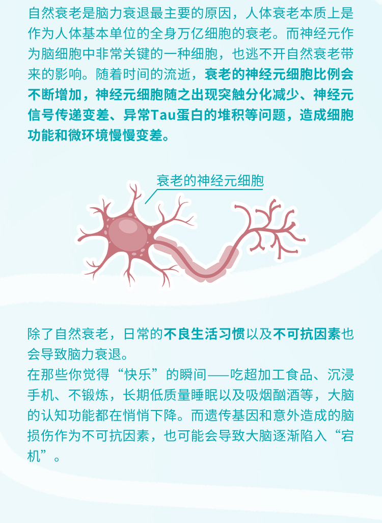 自然衰老是脑力衰退最主要的原因，人体衰老本质上是作为人体基本单位的全身万亿细胞的衰老。而神经元作为脑细胞中非常关键的一种细胞，也逃不开自然衰老带来的影响。随着时间的流逝，衰老的神经元细胞比例会不断增加，神经元细胞随之出现突触分化减少、神经元信号传递变差、异常Tau蛋白的堆积等问题，造成细胞功能和微环境慢慢变差。
 衰老的神经元细胞
 除了自然衰老，日常的不良生活习惯以及不可抗因素也会导致脑力衰退。
 在那些你觉得“快乐”的瞬间——吃超加工食品、沉浸手机、不锻炼，长期低质量睡眠以及吸烟酗酒等，大脑的认知功能都在悄悄下降。而遗传基因和意外造成的脑损伤作为不可抗因素，也可能会导致大脑逐渐陷入“宕机”。
