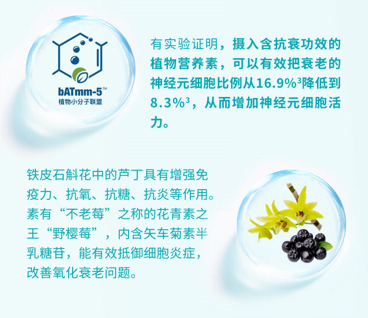 bATmm-5植物小分子联盟
有实验证明，摄入含抗衰功效的植物营养素，可以有效把衰老的神经元细胞比例从16.9%3降低到8.3%3，从而增加神经元细胞活力。
铁皮石斛花中的芦丁具有增强免疫力、抗氧、抗糖、抗炎等作用,素有“不老莓”之称的花青素之王“野樱莓”，内含矢车菊素半乳糖苷，能有效抵御细胞炎症改善氧化衰老问题。