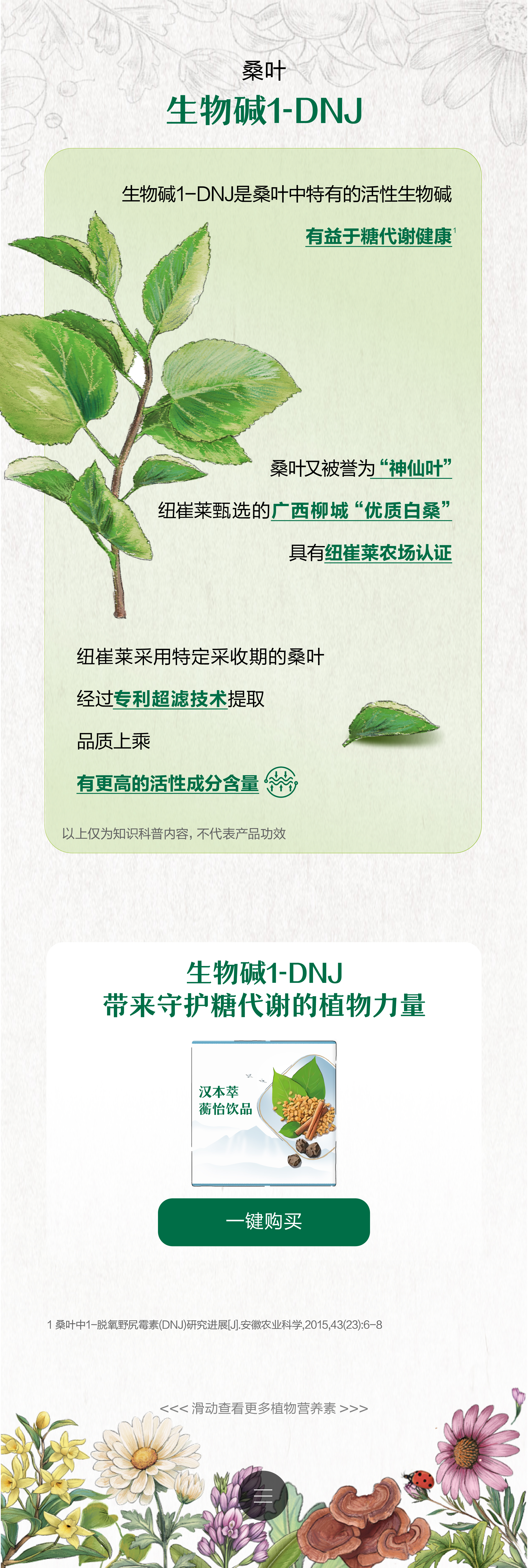 桑叶
 生物碱1-DNJ
 生物碱1-DNJ是桑叶中特有的活性生物碱
 有益于糖代谢健康
 桑叶又被誉为“神仙叶”
 纽崔莱甄选的广西柳城“优质白桑”
 具有纽崔莱农场认证
 纽崔莱采用特定采收期的桑叶
 经过专利超滤技术提取
 品质上乘
 有更高的活性成分含量
 以上仅为知识科普内容，不代表产品功效
 生物碱1-DNJ带来守护糖代谢的植物力量
 一键购买