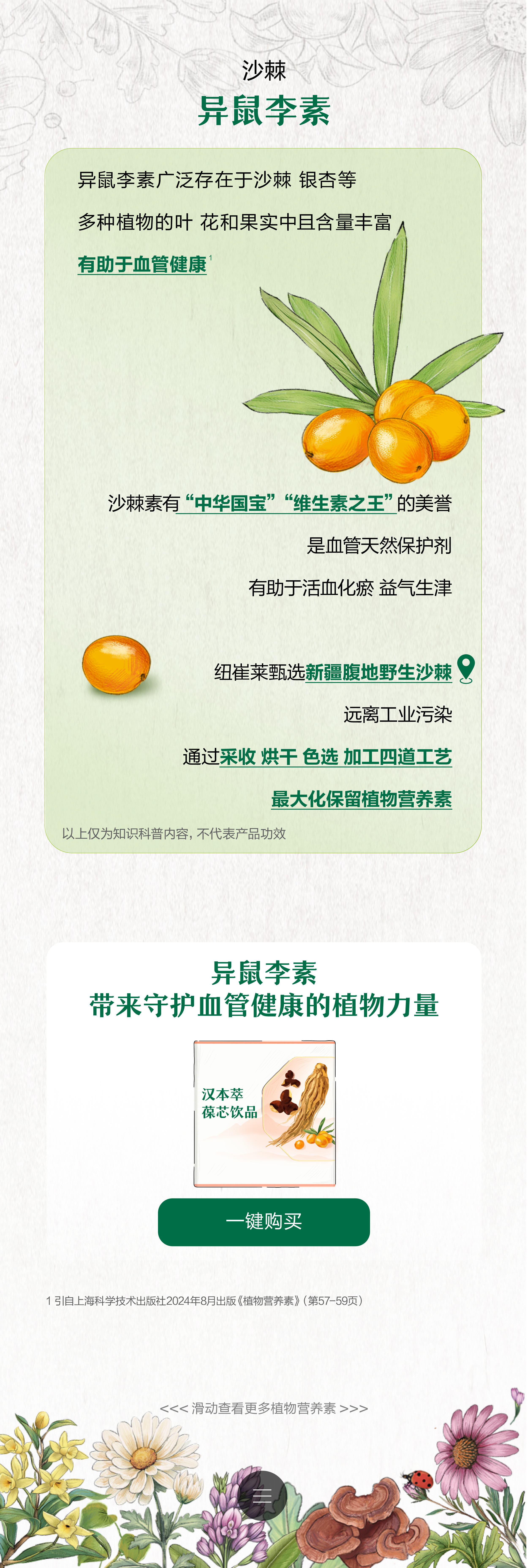 沙棘
 异鼠李素
 异鼠李素广泛存在于沙棘 银杏等 多种植物的叶 花和果实中且含量丰富 有助于血管健康
 沙棘素有“中华国宝”“维生素之王”的美誉 是血管天然保护剂 有助于活血化瘀 益气生津
 纽崔莱甄选新疆腹地野生沙棘 远离工业污染 通过采收 烘干 色选 加工四道工艺 最大化保留植物营养素
 以上仅为知识科普内容，不代表产品功效
 异鼠李素 带来守护血管健康的植物力量