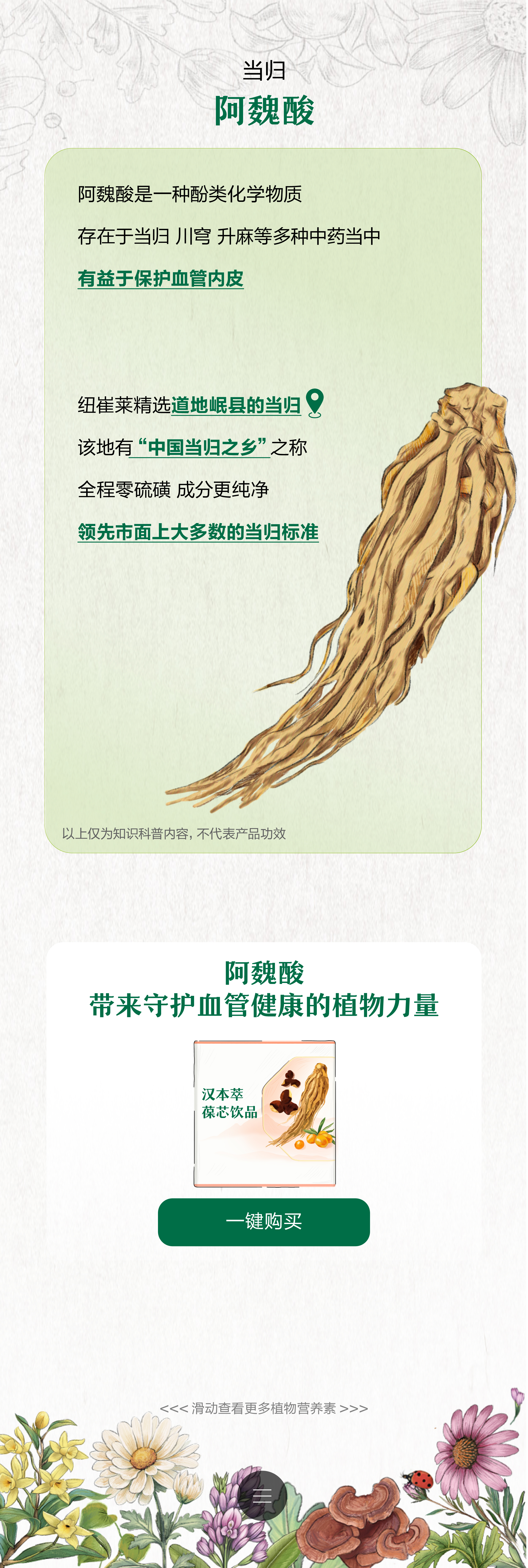 当归
 阿魏酸
 阿魏酸是一种酚类化学物质
 存在于当归 川穹 升麻等多种中药当中
 有益于保护血管内皮
 纽崔莱精选道地岷县的当归
 该地有“中国当归之乡”之称
 全程零硫磺 成分更纯净
 领先市面上大多数的当归标准
 以上仅为知识科普内容，不代表产品功效
 阿魏酸带来守护血管健康的植物力量
 汉本萃葆芯饮品
 一键购买