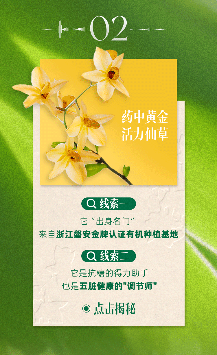 02
药中黄金 活力仙草
线索一
它“出身名门，来自浙江磐安金牌认证有机种植基地
线索二
它是抗糖的得力助手，也是五脏健康的“调节师"
