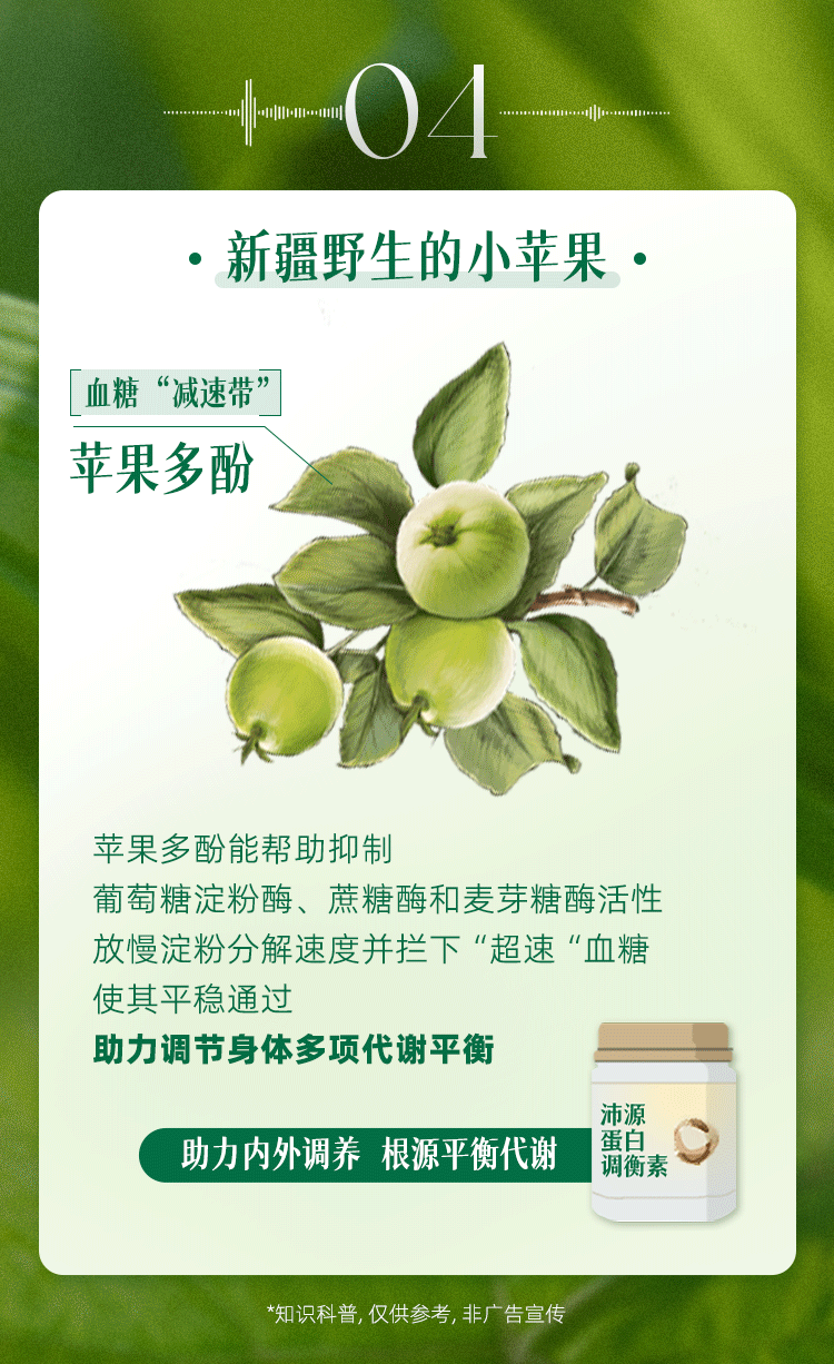 04
·新疆野生的小苹果.
血糖“减速带”
苹果多酚
苹果多酚能帮助抑制
葡萄糖淀粉酶、蔗糖酶和麦芽糖酶活性
放慢淀粉分解速度并拦下“超速“血糖
使其平稳通过
助力调节身体多项代谢平衡
助力内外调养根源平衡代谢