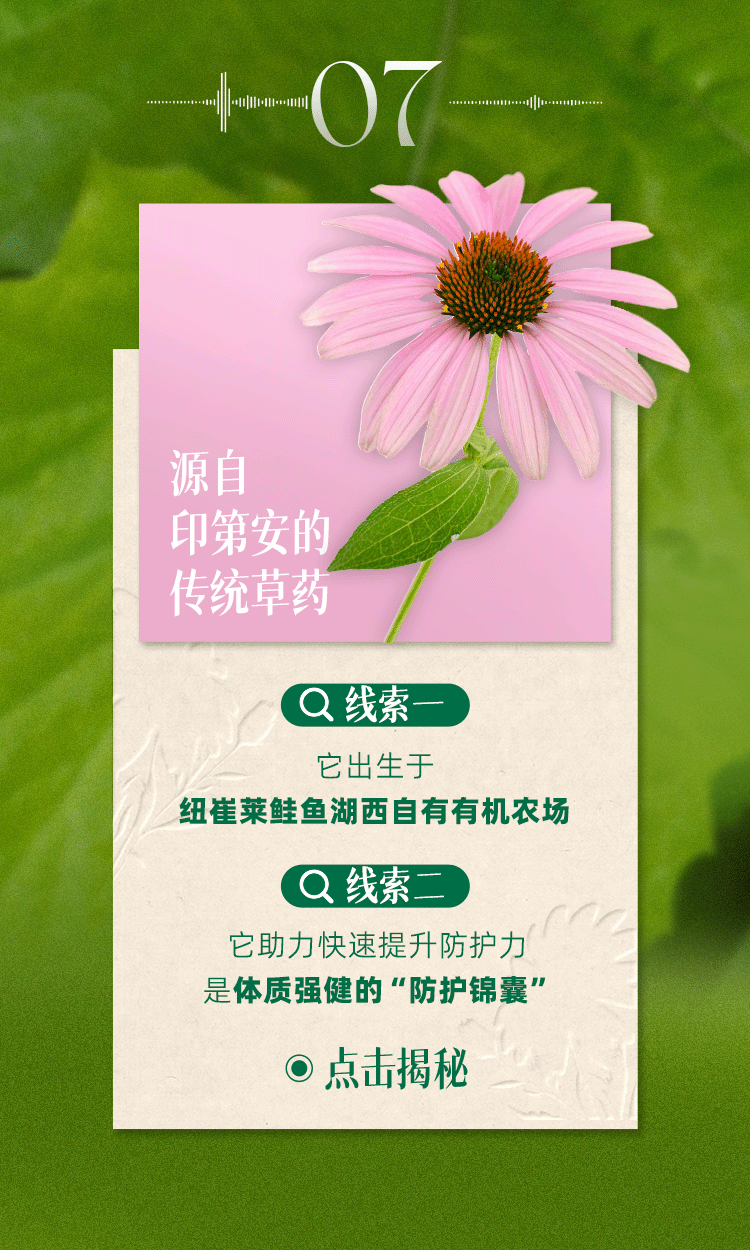 07
源自印第安的传统草药
线索一
它出生于纽崔莱鲑鱼湖西自有有机农场
线索二
它助力快速提升防护力，是体质强健的“防护锦囊”