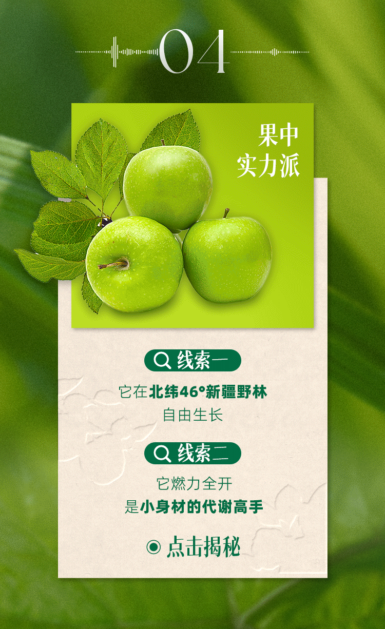 04
果中实力派
线索一
它在北纬46°新疆野林自由生长
线索二
它燃力全开，是小身材的代谢高手