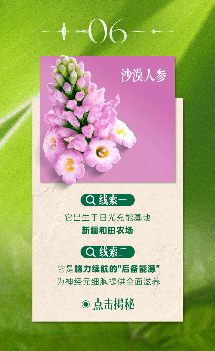 06
沙漠人参
线索一
它出生于日光充能基地
新疆和田农场
线索二
它是脑力续航的"后备能源"
为神经元细胞提供全面滋养