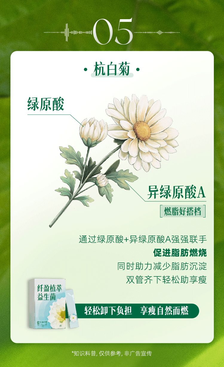 05
·杭白菊·
绿原酸
异绿原酸A
燃脂好搭档
通过绿原酸+异绿原酸A强强联手
促进脂肪燃烧
同时助力减少脂肪沉淀
双管齐下轻松助享瘦
轻松卸下负担享瘦自然而燃