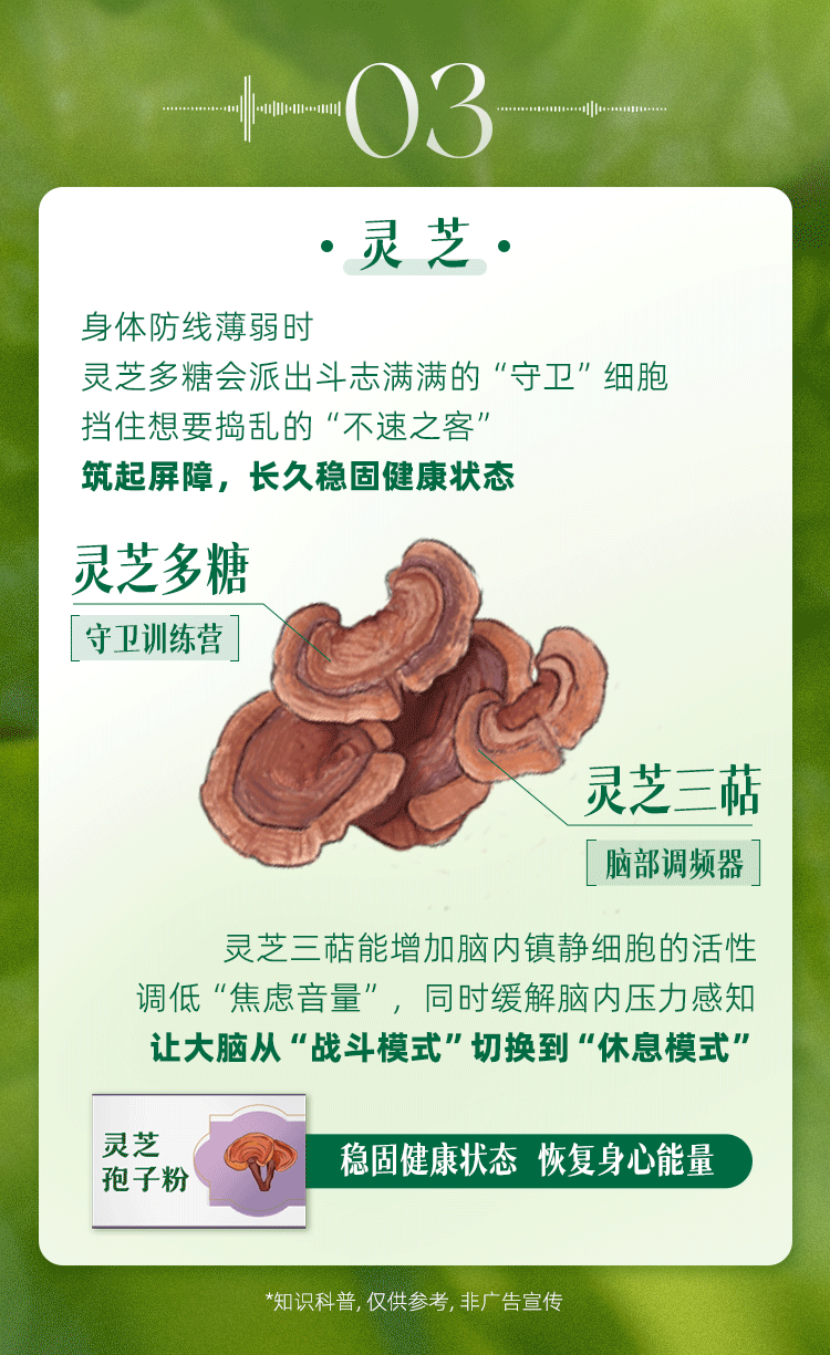 03
·灵芝.
身体防线薄弱时
灵芝多糖会派出斗志满满的“守卫”细胞
挡住想要捣乱的"不速之客"
筑起屏障，长久稳固健康状态
灵芝多糖
守卫训练营
灵芝三萜
脑部调频器
灵芝三萜能增加脑内镇静细胞的活性
调低“焦虑音量”，同时缓解脑内压力感知
让大脑从“战斗模式”切换到“休息模式”
稳固健康状态 恢复身心能量