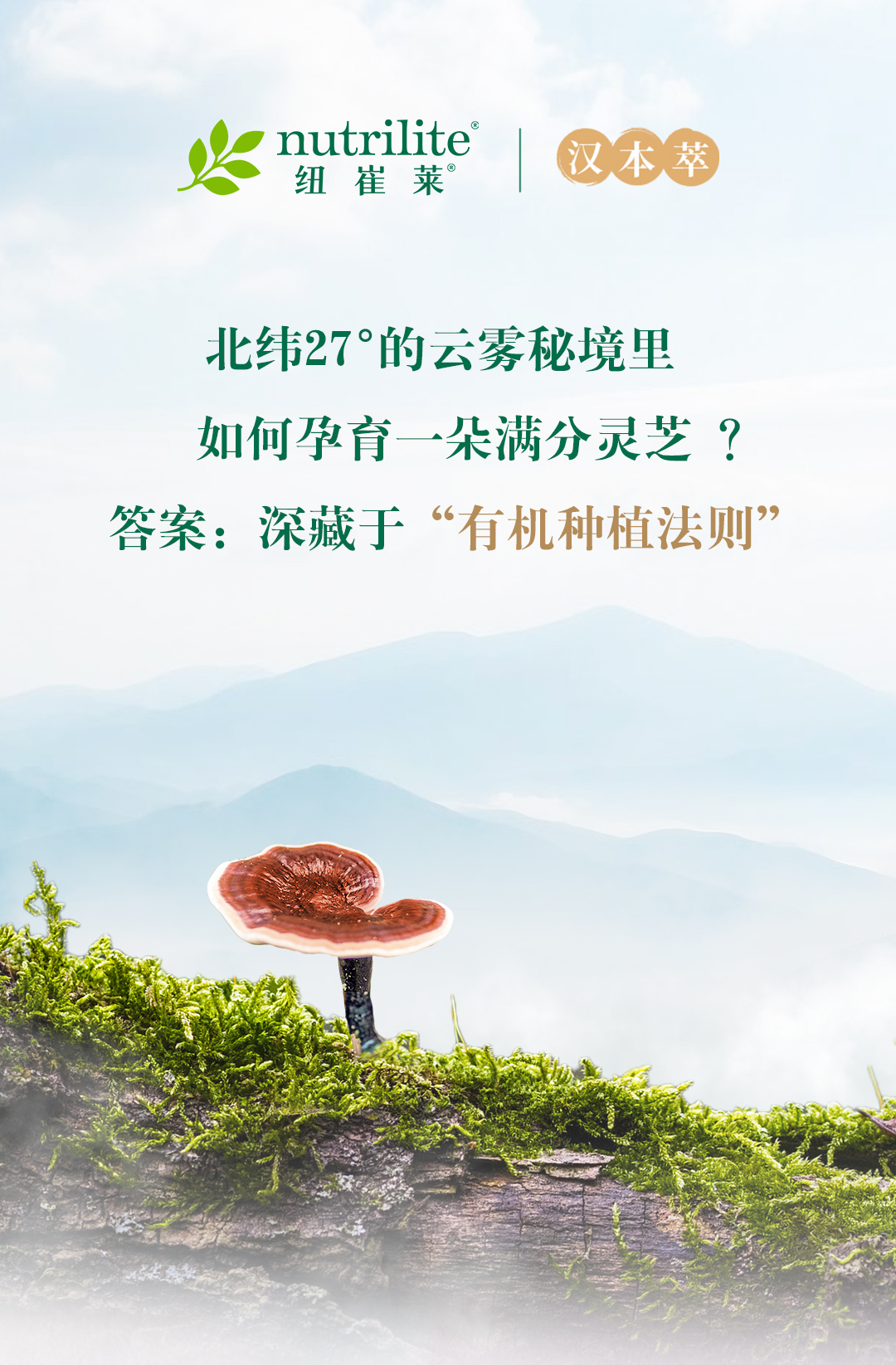 nutrilite 纽崔莱
 汉本萃
 北纬27°的云雾秘境里
 如何孕育一朵满分灵芝？
 答案：深藏于“有机种植法则”