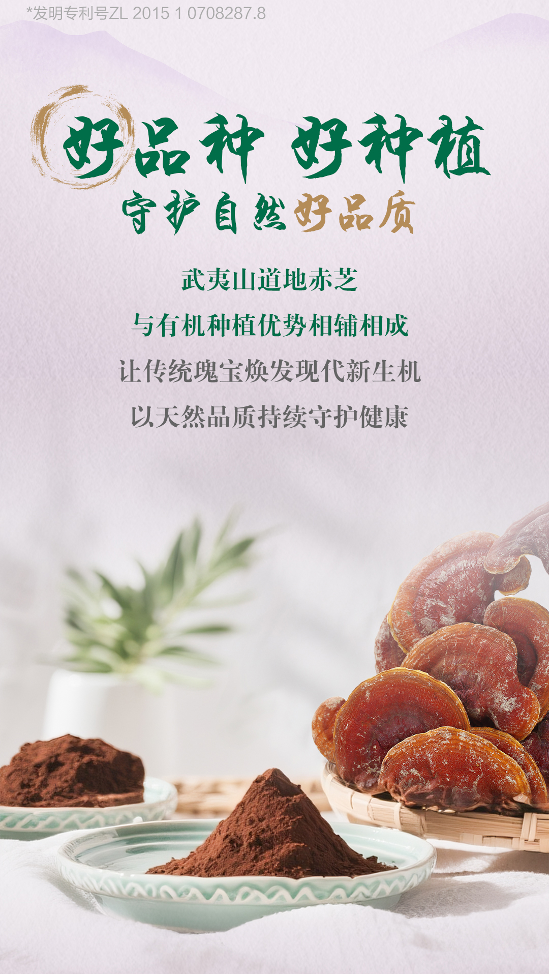 *发明专利号ZL 2015 1 0708287.8
 好品种 好种植
 守护自然好品质
 武夷山道地赤芝
 与有机种植优势相辅相成
 让传统瑰宝焕发现代新生机
 以天然品质持续守护健康