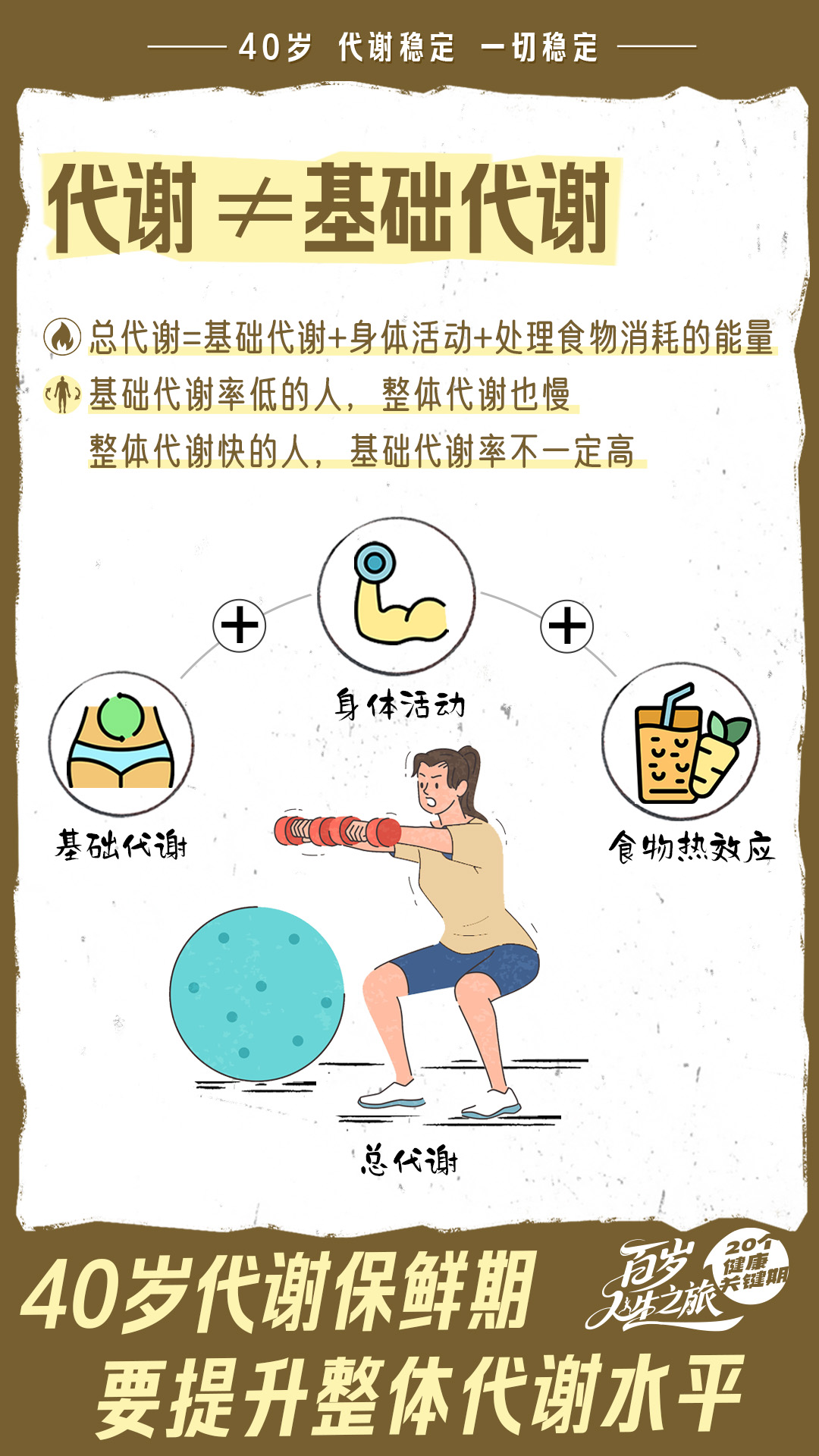 40岁 代谢稳定 一切稳定
代谢≠基础代谢
总代谢=基础代谢+身体活动+处理食物消耗的能量
基础代谢率低的人，整体代谢也慢
整体代谢快的人，基础代谢率不一定高
基础代谢
身体活动
食物热效应
总代谢
40岁代谢保鲜期
要提升整体代谢水平
20个健康关键期
百岁人生之旅