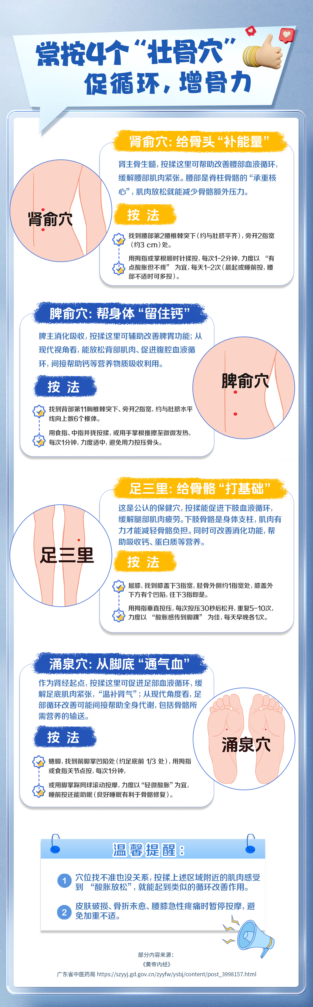 常按4个“壮骨穴”,促循环,增骨力.jpg 常按4个“壮骨穴促循环,增骨力
肾俞穴:给骨头“补能量”
肾主骨生髓,按揉这里可帮助改善腰部血液循环,缓解腰部肌肉紧张。腰部是脊柱骨骼的“承重核心”,肌肉放松就能减少骨骼额外压力。
按法
肾俞穴
找到腰部第2腰椎棘突下(约与肚脐平齐),旁开2指宽(约3 cm)处。
用拇指或掌根顺时针揉按,每次1-2分钟,力度以“有点酸胀但不疼”为宜,每天1-2次(晨起或睡前按,腰
部不适时可多按)。
脾俞穴:帮身体“留住钙”
脾主消化吸收,按揉这里可辅助改善脾胃功能;从现代视角看,能放松背部肌肉、促进腹腔血液循环,间接帮助钙等营养物质吸收利用。
脾俞穴
按法
找到背部第11胸椎棘突下、旁开2指宽,约与肚脐水平线向上数6个椎体。
用食指、中指并拢按揉,或用手掌根推擦至微微发热,每次1分钟,力度适中,避免用力按压骨头。
足三里:给骨骼“打基础”
这是公认的保健穴,按揉能促进下肢血液循环,缓解腿部肌肉疲劳。下肢骨骼是身体支柱,肌肉有力才能减轻骨骼负担。同时可改善消化功能,帮助吸收钙、蛋白质等营养。
足三里
按法
屈膝,找到膝盖下3指宽,胫骨外侧约1指宽处,膝盖外下方有个凹陷,往下3指即是。
用拇指垂直按压,每次按压30秒后松开,重复5-10次,力度以“酸胀感传到脚踝”为佳,每天早晚各1次。
涌泉穴:从脚底“通气血”
作为肾经起点,按揉这里可促进足部血液循环,缓解足底肌肉紧张,“温补肾气”;从现代角度看,足 部循环改善可能间接帮助全身代谢,包括骨骼所需营养的输送。
按法”
涌泉穴
蜷脚,找到前脚掌凹陷处(约足底前 1/3 处),用拇指或食指关节点按,每次1分钟,或用脚掌踩网球滚动按摩,力度以“轻微酸胀”为宜,睡前按还能助眠(良好睡眠有利于骨骼修复)。
温馨提醒:
1穴位找不准也没关系,按揉上述区域附近的肌肉感受“酸胀放松”,就能起到类似的循环改善作用。
2皮肤破损、骨折未愈、腰膝急性疼痛时暂停按摩,避免加重不适。
部分内容来源:
《黄帝内经》
广东省中医药局 https:/szyj.gd.gov.cn/zyfw/ysbj/content/post_3998157.html