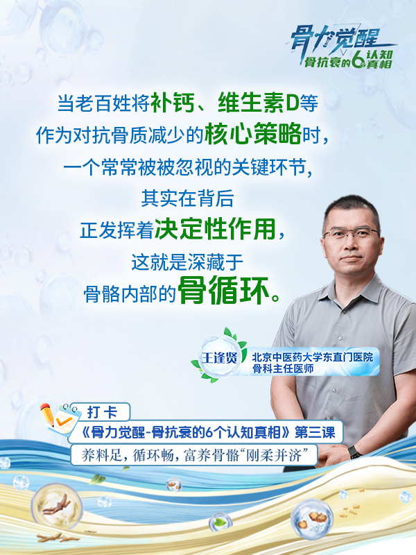 骨力觉醒，骨抗衰的6个认知真相
 当老百姓将补钙、维生素D等作为对抗骨质减少的核心策略时，一个常常被被忽视的关键环节，其实在背后正发挥着决定性作用，这就是深藏于骨骼内部的骨循环。
王逢贤北京中医药大学东直门医院骨科主任医师
 打卡
 《骨力觉醒-骨抗衰的6个认知真相》第三课
 养料足，循环畅，富养骨骼“刚柔并济
