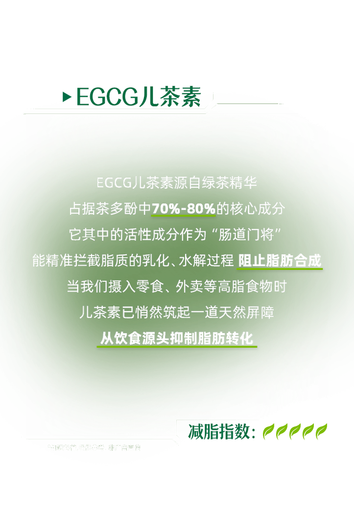 脂肪守门员
EGCG儿茶素
 EGCG儿茶素源自绿茶精华，占据茶多酚中70%-80%的核心成分，它其中的活性成分作为“肠道门将"，能精准拦截脂质的乳化、水解过程 阻止脂肪合成
 当我们摄入零食、外卖等高脂食物时，儿茶素已悄然筑起一道天然屏障，从饮食源头抑制脂肪转化
 减脂指数：
 ".
 *知识科普，仅供参考，非广告宣传