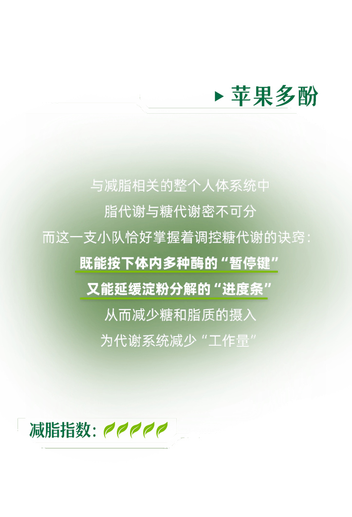 减脂特工小队
 - 苹果多酚
 与减脂相关的整个人体系统中
 脂代谢与糖代谢密不可分，而这一支小队恰好掌握着调控糖代谢的诀窍：既能按下体内多种酶的“暂停键”， 又能延缓淀粉分解的“进度条”，从而减少糖和脂质的摄入，为代谢系统减少“工作量”
 减脂指数：
 *知识科普,仅供参考,非广告宣传