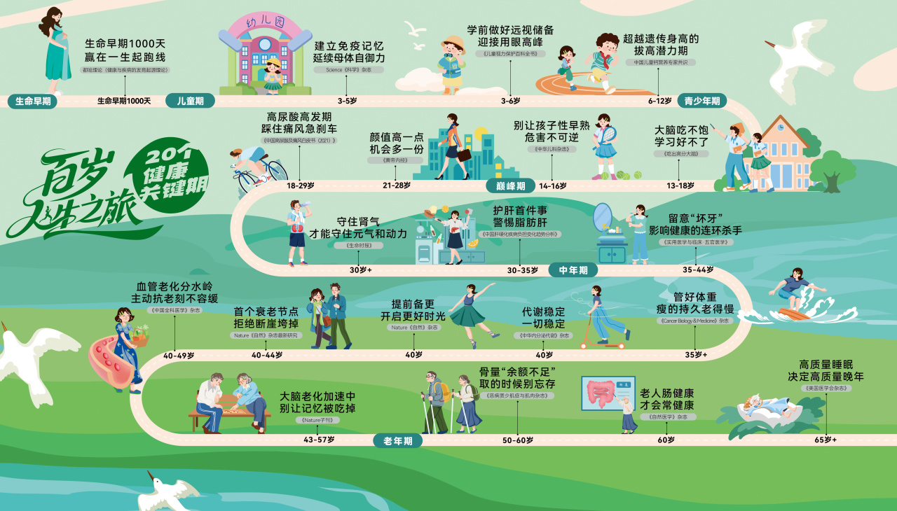 生命早期 生命早期1000天幼儿园 生命早期1000天赢在一生起跑线
 儿童期 幼儿园  3-5岁 建立免疫记忆 延续母体自御力
 3-6岁学前做好远视储备 迎接用眼高峰 儿童视力保护百科全书
  6-12岁 超越遗传身高的拔高潜力期中国儿童钙营养专家共识
  青少年期  13-18岁 《吃出高分大脑》大脑吃不饱 学习好不了 14-16岁 别让孩子性早熟危害不可逆《中国儿童杂志》
  21-28岁  颜值高一点  机会多一份 黄帝内经
18-29岁  高尿酸高发期踩住痛风急刹车 中国高尿酸及痛风白皮书2021
百岁人生之旅20个健康 关键期
30岁+ 守住肾气才能守住元气和动力《生命时报》
30-35岁  护肝首件事 警惕脂肪肝《中国肝硬化病患者变化趋势分析报告》
中年期 35-44岁 留意“坏牙” 影响健康的连环杀手 《实用医学与临床-五官医学》
35岁+  管好体重瘦的持久老得慢《Cancer Biology & Medicine》杂志
40岁 代谢稳定 一切稳定 中华内分泌代谢杂志
40岁   提前备更 开启更好时光Nature《自然》杂志
 40-44岁   首个衰老节点  拒绝断崖垮掉 Nature《自然》杂志最新研究
40-49岁血管老化分水岭 主动抗老刻不容缓《中国全科医学》杂志
超越理论(健康与疾病的发育起源理论) 
43-57岁  大脑老化加速中别让记忆被吃掉 natural子刊
 老年期
 50-60岁 骨量“余额不足”取的时候别忘存《骨密度少肌症与肌肉状态》 
 60岁  《自然医学》杂志老人肠健康 才会常健康
 65岁+高质量睡眠 决定高质量晚年 《美国医学杂志》