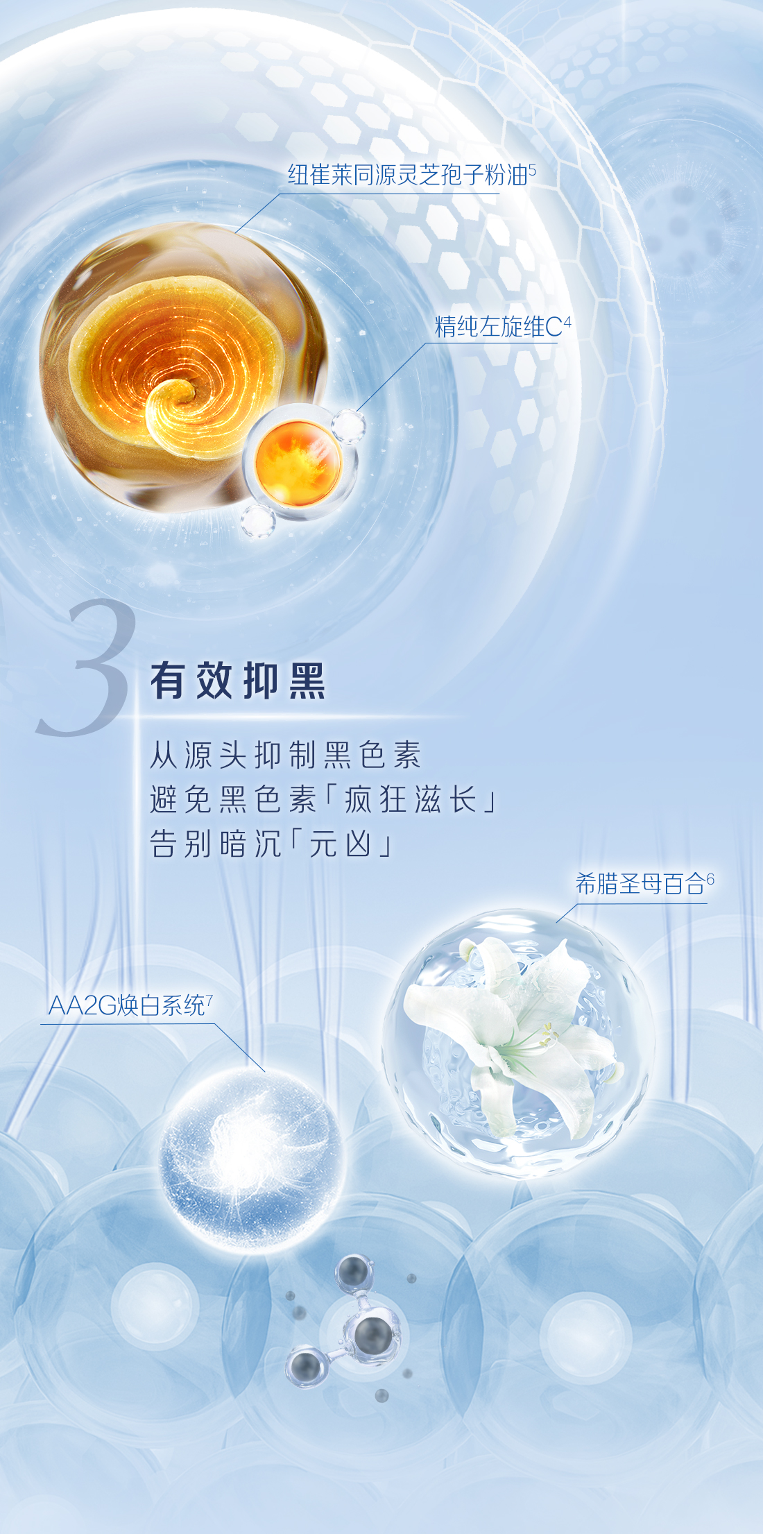 纽崔莱同源灵芝孢子粉油5
 精纯左旋维C4
 3有效抑黑
 从源头抑制黑色素
 避免黑色素「疯狂滋长」
 告别暗沉「元凶」
 希腊圣母百合6
 AA2G焕白系统7