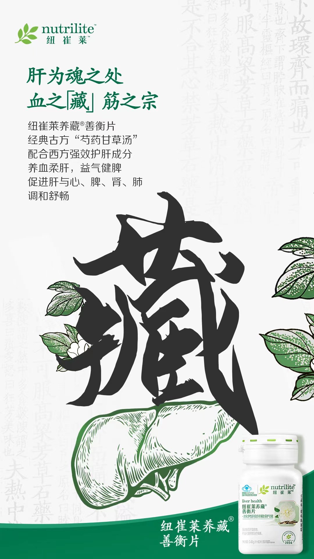 nutrilite
纽崔莱
肝为魂之处
血之「藏」筋之宗
纽崔莱养藏®善衡片
经典古方“芍药甘草汤”
配合西方强效护肝成分
养血柔肝，益气健脾
促进肝与心、脾、肾、肺
调和舒畅
藏
nutrilite
纽崔莱
liver health
纽崔莱养藏
善衡片
对化学性肝损伤有辅助保护功能
1934