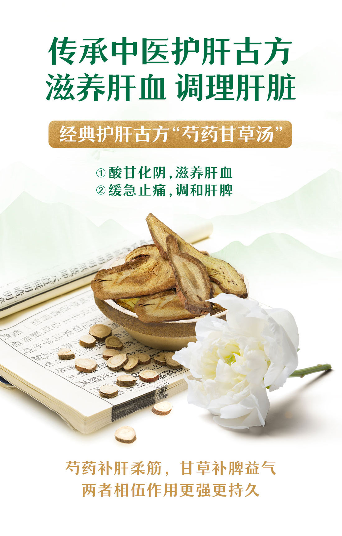 传承中医护肝古方
滋养肝血 调理肝脏
经典护肝古方“芍药甘草汤”
①酸甘化阴，滋养肝血
②缓急止痛，调和肝脾
芍药补肝柔筋，甘草补脾益气
两者相伍作用更强更持久