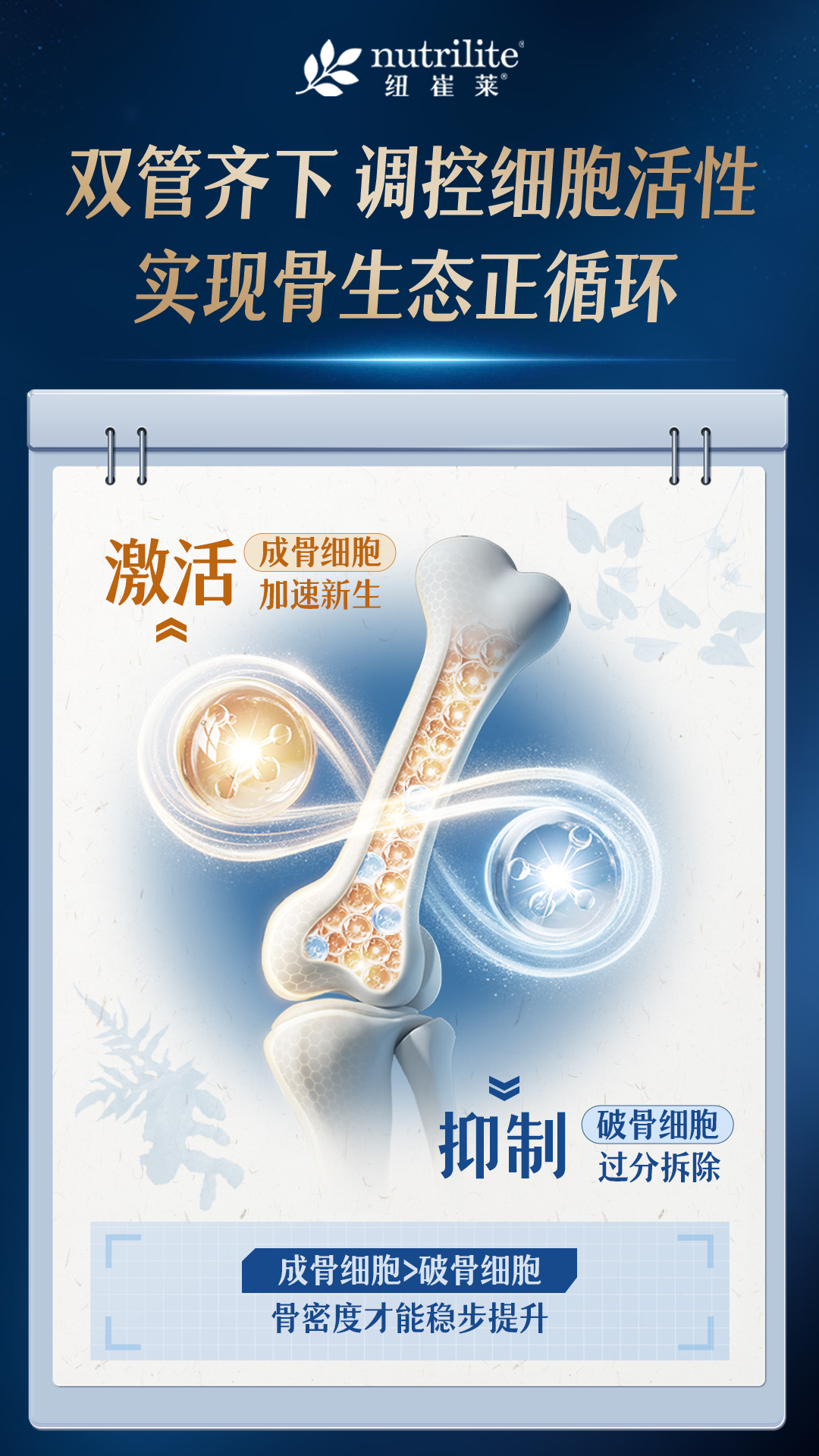 默认标题