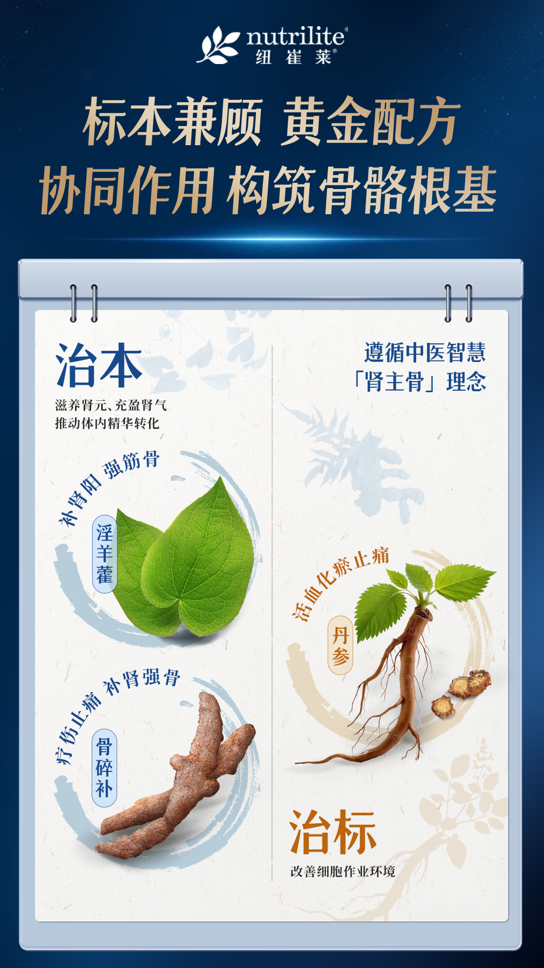 默认标题