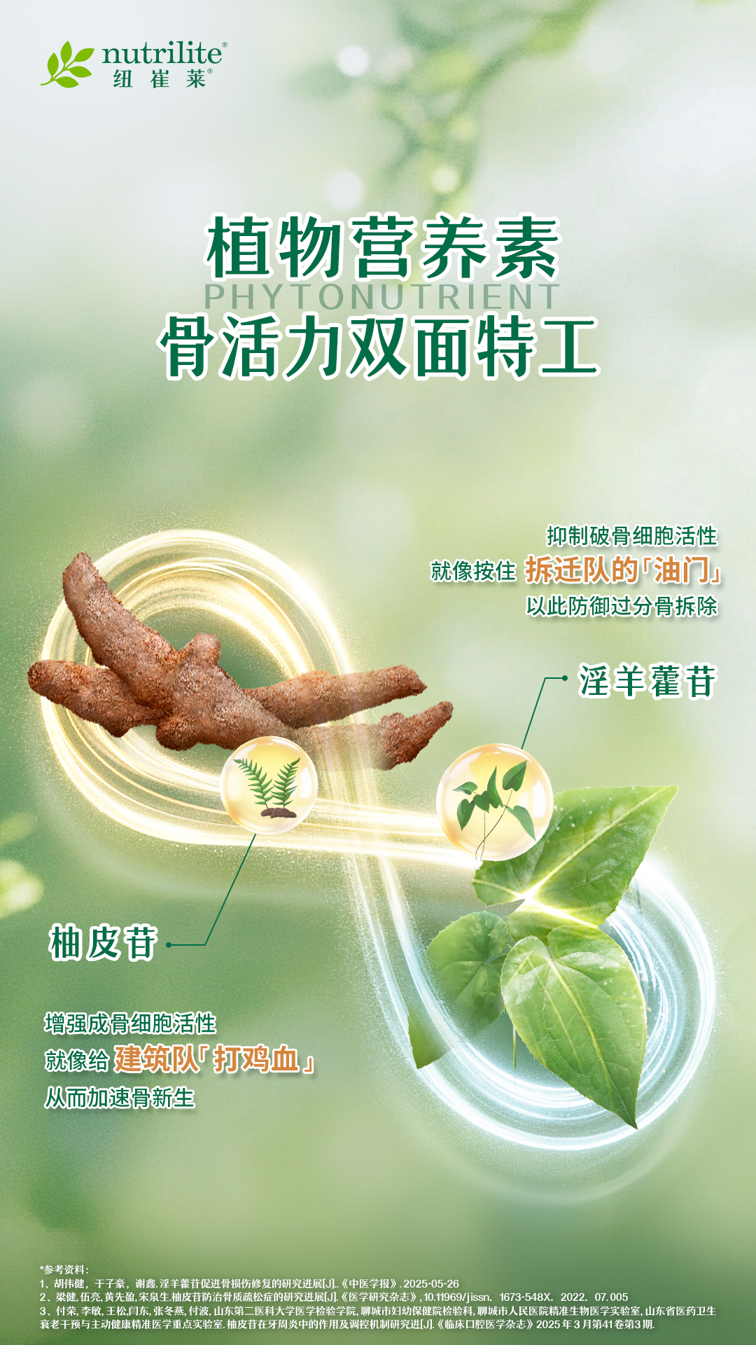 nutrilite 纽崔莱

 植物营养素
 PHYTONUTRIENT
 骨活力双面特工
 抑制破骨细胞活性
 就像按住 拆迁队的「油门」
 以此防御过分骨拆除
 淫羊藿苷抑制破骨细胞活性就像按住 拆迁队的「油门.以此防御过分骨拆除
柚皮苷
 增强成骨细胞活性
 就像给 建筑队「打鸡血」
 从而加速骨新生
 *参考资料：
 1、胡伟健，于子豪，谢鑫. 涎羊藿苷促进骨损伤修复的研究进展[J].《中医学报》. 2025-05-26
 2、梁健，伍亮，黄先盈，宋泉生. 柚皮苷防治骨质疏松症的研究进展[J].《医学研究杂志》，10.11969/jissn. 1673-548X. 2022. 07.005
 3、付荣，李敏，王松，闫东，张冬燕，付波，山东第二医科大学医学检验学院，聊城市妇幼保健院检验科，聊城市人民医院精准生物医学实验室，山东省医药卫生
 衰老干预与主动健康精准医学重点实验室. 柚皮苷在牙周炎中的作用及调控机制研究进[J].《临床口腔医学杂志》2025年3月第41卷第3期.