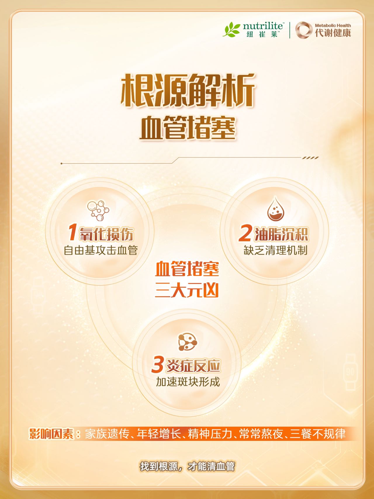 根源解析血管堵塞
血管堵塞  三大元凶
1 氧化损伤，自由基攻击血管
  2 油脂沉积  缺乏清理机制
  3 炎症反应，加速斑块形成
影响因素：家族遗传、年轻增长、精神压力、常常熬夜、三餐不规律
 找到根源，才能清血管
 nutrilite 纽崔莱
 Metabolic Health 代谢健康