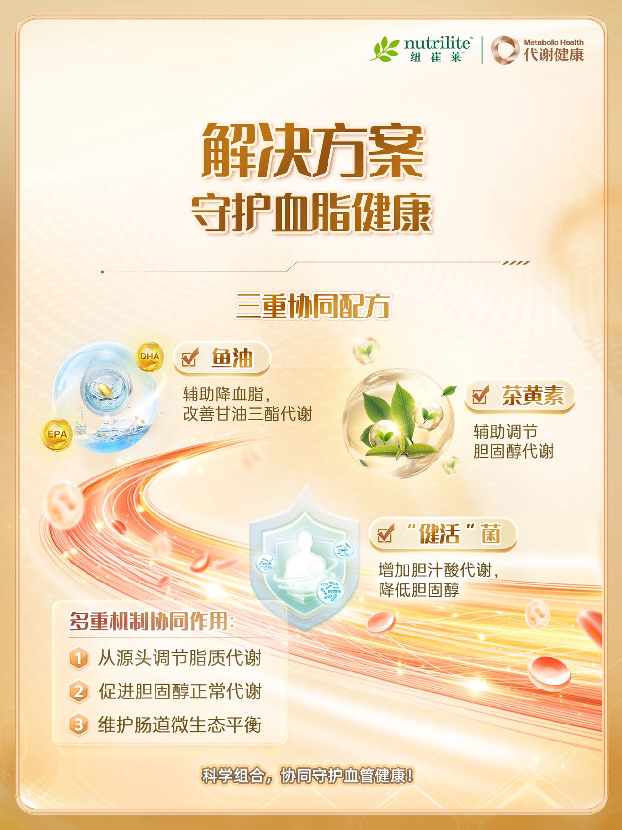 nutrilite 纽崔莱
 Metabolic Health 代谢健康
 解决方案 守护血脂健康
三重协同配方
EPADHA √ 鱼油辅助降血脂，改善甘油三酯代谢

 茶黄素 辅助调节胆固醇代谢
 “健活”菌 增加胆汁酸代谢， 降低胆固醇
 多重机制协同作用：
 从源头调节脂质代谢
 促进胆固醇正常代谢
 维护肠道微生态平衡
 科学组合，协同守护血管健康！