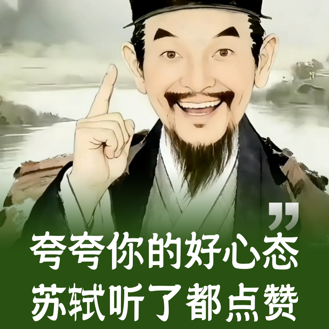 苏轼就夸你封面
