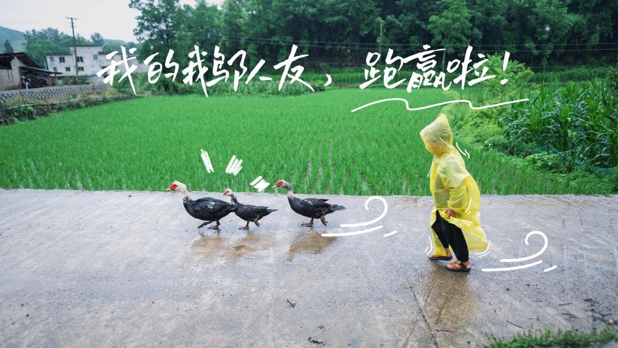 默认标题