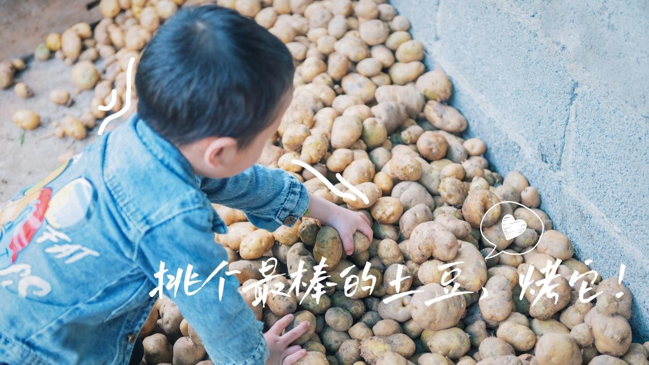 默认标题