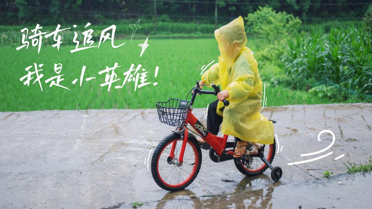 默认标题