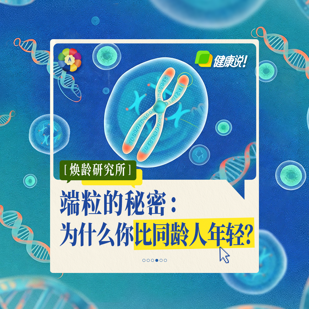端粒的秘密:为什么你比同龄人年轻?