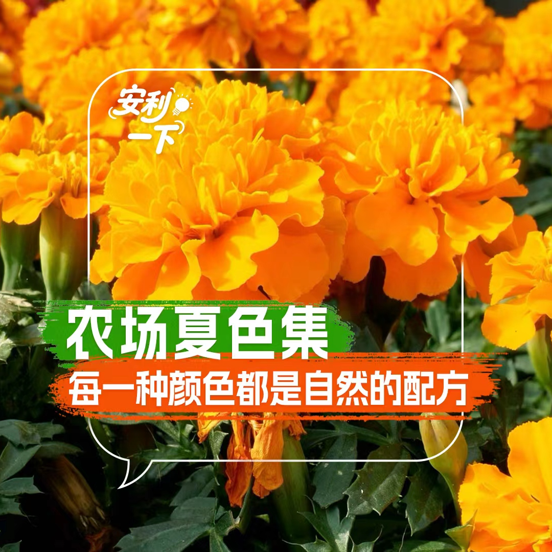 微信图片_20260819171245_2093_357