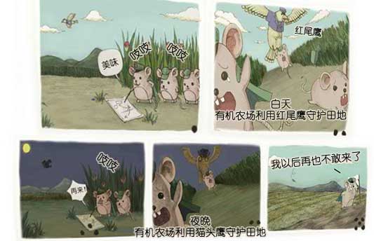 美味；吱吱；吱吱
 红尾鹰；白天有机农场利用红尾鹰守护田地
 再来！吱吱
 夜晚有机农场利用猫头鹰守护田地
 我以后再也不敢来了
